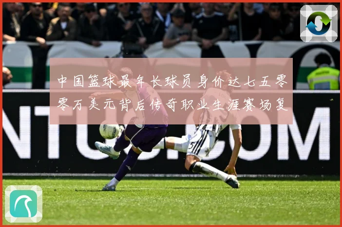 中国篮球最年长球员身价达七五零零万美元背后传奇职业生涯赛场复盘