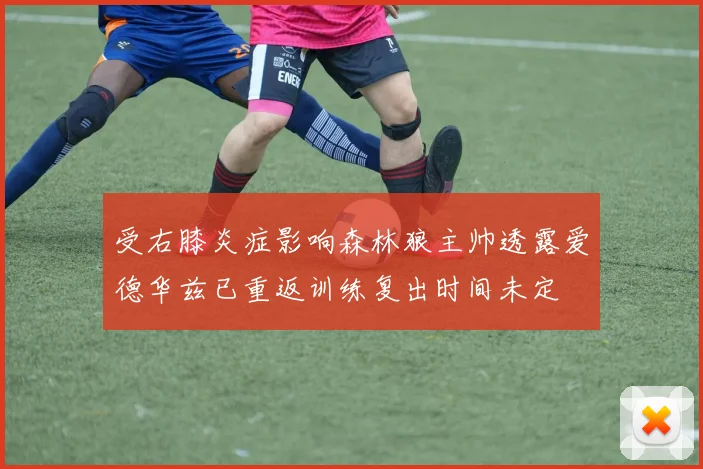 受右膝炎症影响森林狼主帅透露爱德华兹已重返训练复出时间未定