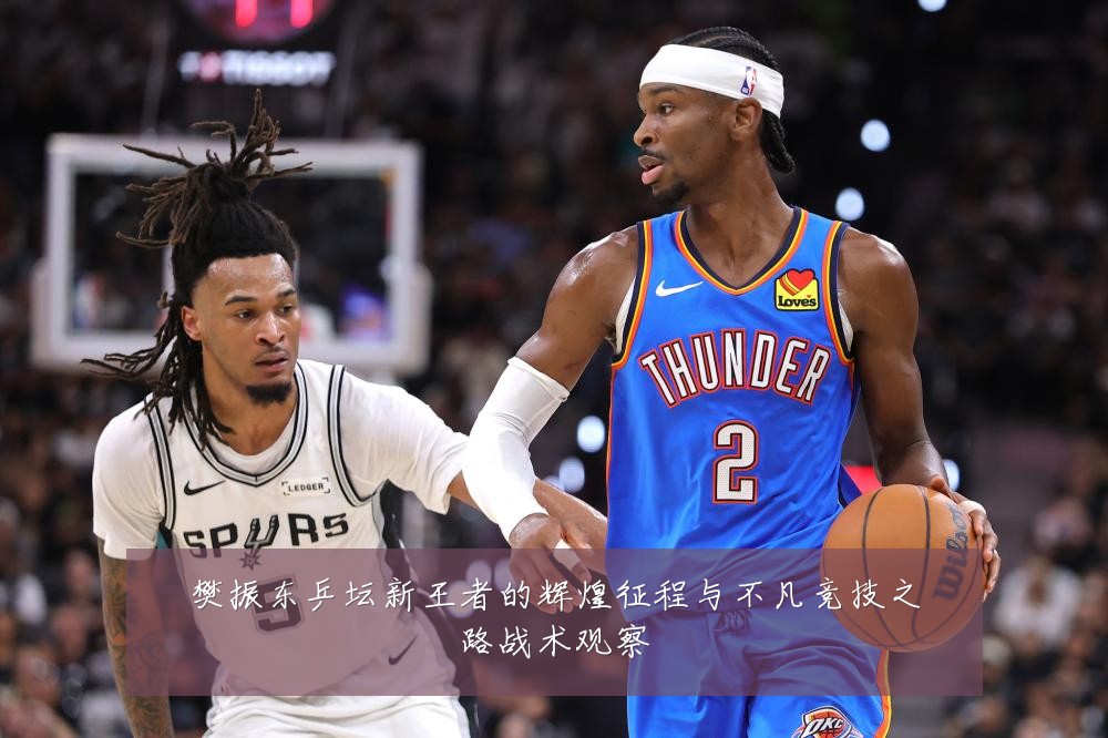 樊振东乒坛新王者的辉煌征程与不凡竞技之路战术观察